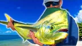 Trolling Offshore FISHING off the Florida Keys *CATCH CLEAN COOK*