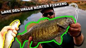 Chasing Trout & Smallmouth! (Lake Del Valle Fishing)