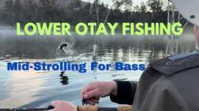 Lower Otay Lake Fishing: Mid-Strolling For Bass