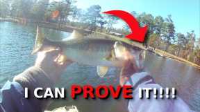 The Absolute BEST Spot For Winter Bass Fishing!!! (EVERY Lake Has This!!!)