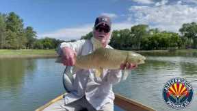 Rainbow Lake With Arizona Fly Fishing Legend John Rohmer