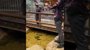 EPIC Fishing INSIDE Bass Pro Shops!!