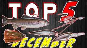 Top 5 Baits For December Bass Fishing!