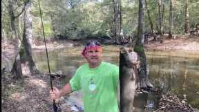 How to catch, clean, and cook Bowfin the right way