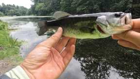 Water hopping in Westchester County - Fishing Gedney Park and Bronx River