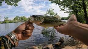 Went pond/lake hopping in Nassau County, Long Island looking for good spots to fish