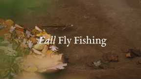 Fall Fly Fishing