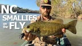 Fly Fishing for Fall Smallmouth in NC | Tips and Tactics