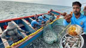 Amazing🤩‼️ Purse Seine Adventures & Cooking The Freshest Seafood❗️| EP-02