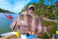 GIANT! ***SHEEPSHEAD*** [CATCH, CLEAN,