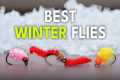 The 12 Best Flies for Winter Fly