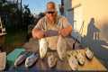 The MOST EXPENSIVE fish in Florida -