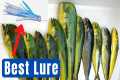 How to Catch Mahi Mahi, Best Lures,