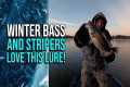 Winter Bass and Stripers Love This