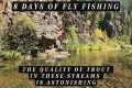 8 days of Fly Fishing - The quality