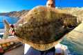 Catalina Island Fishing! (Halibut