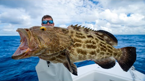 3 Days of Florida Offshore Fishing! Catch Clean Cook (Black Grouper)