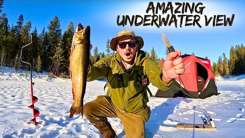 Ice Fishing for GIANT Trout in a TINY Mountain Lake (Catch & Cook)