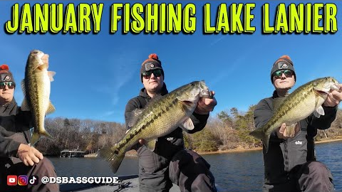 January Bass Fishing Lake Lanier | Jigs and Swimbaits for Spotted Bass