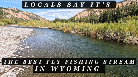 They told us this was - THE BEST FLY FISHING - stream in Wyoming!