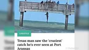 🤯 I SAW THE CRAZIEST CATCH EVER FROM FISHING PIER! SUBSCRIBE FOR MORE 🎣#Shorts