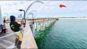 Fishing Cut Bait on This GULF PIER to Catch Dinner! *Catch & Cook*