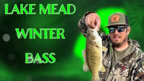 Winter Bass fishing at Echo Bay, Lake Mead.