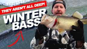 Winter Bass Fishing Tactics for Lake Conroe