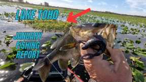 Lake Toho January Fishing Report & Top Bait Picks