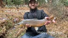 PA Fly Fishing the LAST DAY of 2024 (Streamers and BIG browns)