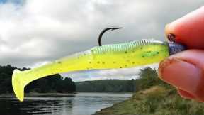 SOFT PLASTICS FISHING FOR BEGINNERS