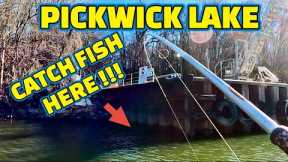 EXTREMELY AGGRESSIVE FISH BITE !! Fishing PICKWICK LAKE on TENNESSEE RIVER ( Mr. JIMMY)