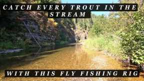 If there are trout in the stream - this Fly Fishing Rig will catch all of them!