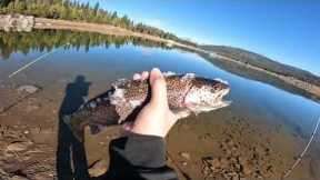 Shaver Lake Fishing, Camp Edison!