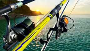 A Quick Guide to Starting Sea Fishing the right way