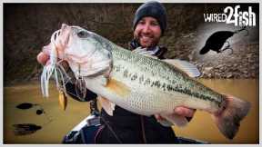 Bass Fishing After a Rain: HUGE BASS on EARLY SPRING RUNOFF!