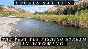 They told us this was - THE BEST FLY FISHING - stream in Wyoming!