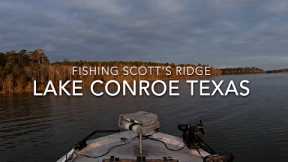 New Year's Bass Fishing! Scotts Ridge/Lake Conroe Texas