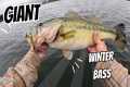 WINTER FISHING LEGENDARY LAKE