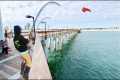 Fishing Cut Bait on This GULF PIER to 