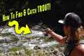 How To Catch TROUT In Creeks, Rivers, 