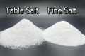 Does SALT Belong in SOFT PLASTIC