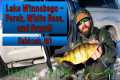 Lake Winnebago Ice Fishing - Perch,