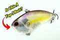 Are These The Top 5 Fishing Lures in