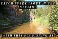 If there are trout in the stream -