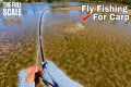 Fly Fishing For Carp | The Full Scale