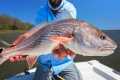 Catch n' Cook Delicious Redfish Right 