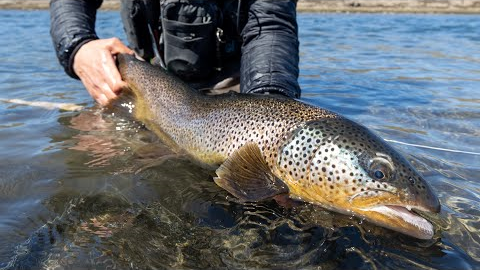 Remote Fly Fishing Trip in Iceland - Where No One Else Goes to Fish