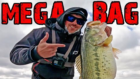 Catching 30LB MEGA BAG Bass Fishing Lake Guntersville! (BIGGUNS)