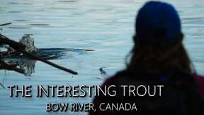 Bow River, Canada - Fly Fishing the Bow River in SEARCH of INTERESTING Trout